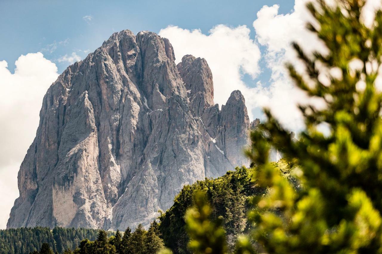 Appartamenti Hetty Santa Cristina Val Gardena Luaran gambar